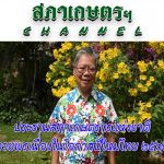 สภาเกษตรฯ Channel – ประธานสภาเกษตรกรแห่งชาติ อวยพรเนื่องในโอกาสปีใหม่ไทย ๒๕๖๒